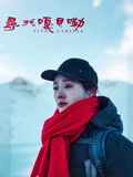 寻找嘎贝勒海报